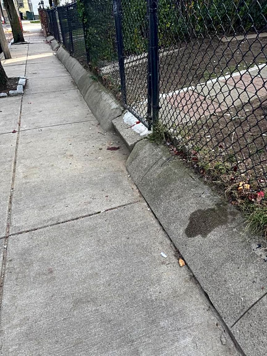 Image submitted with report