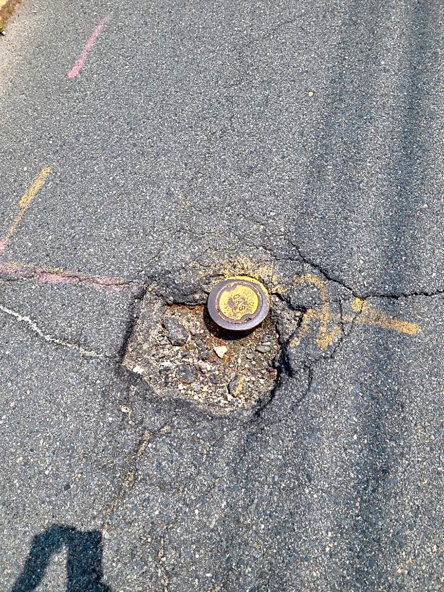 Image submitted with report