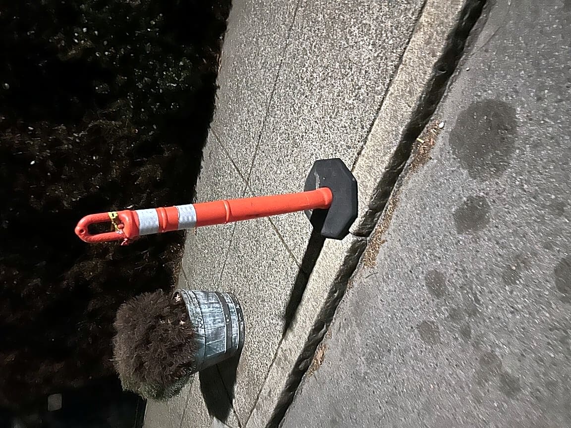 Image submitted with report