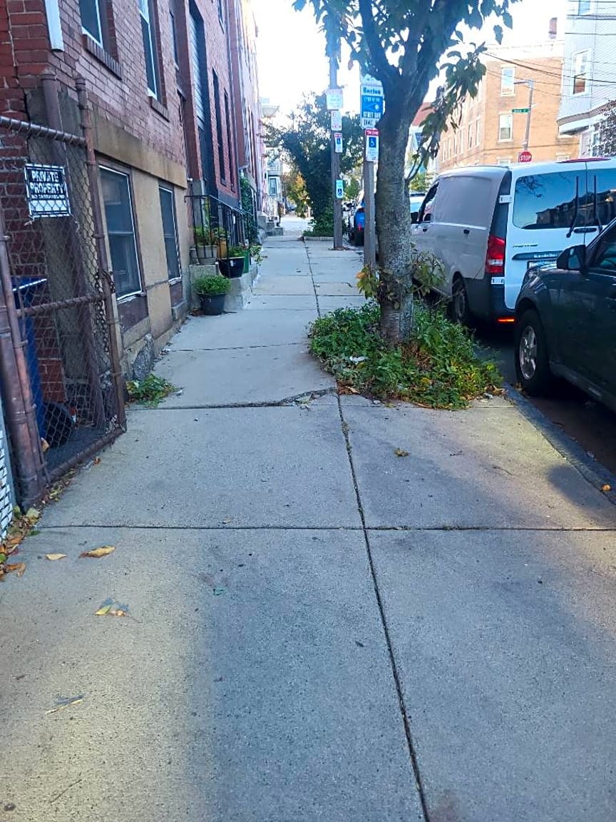 Image submitted with report