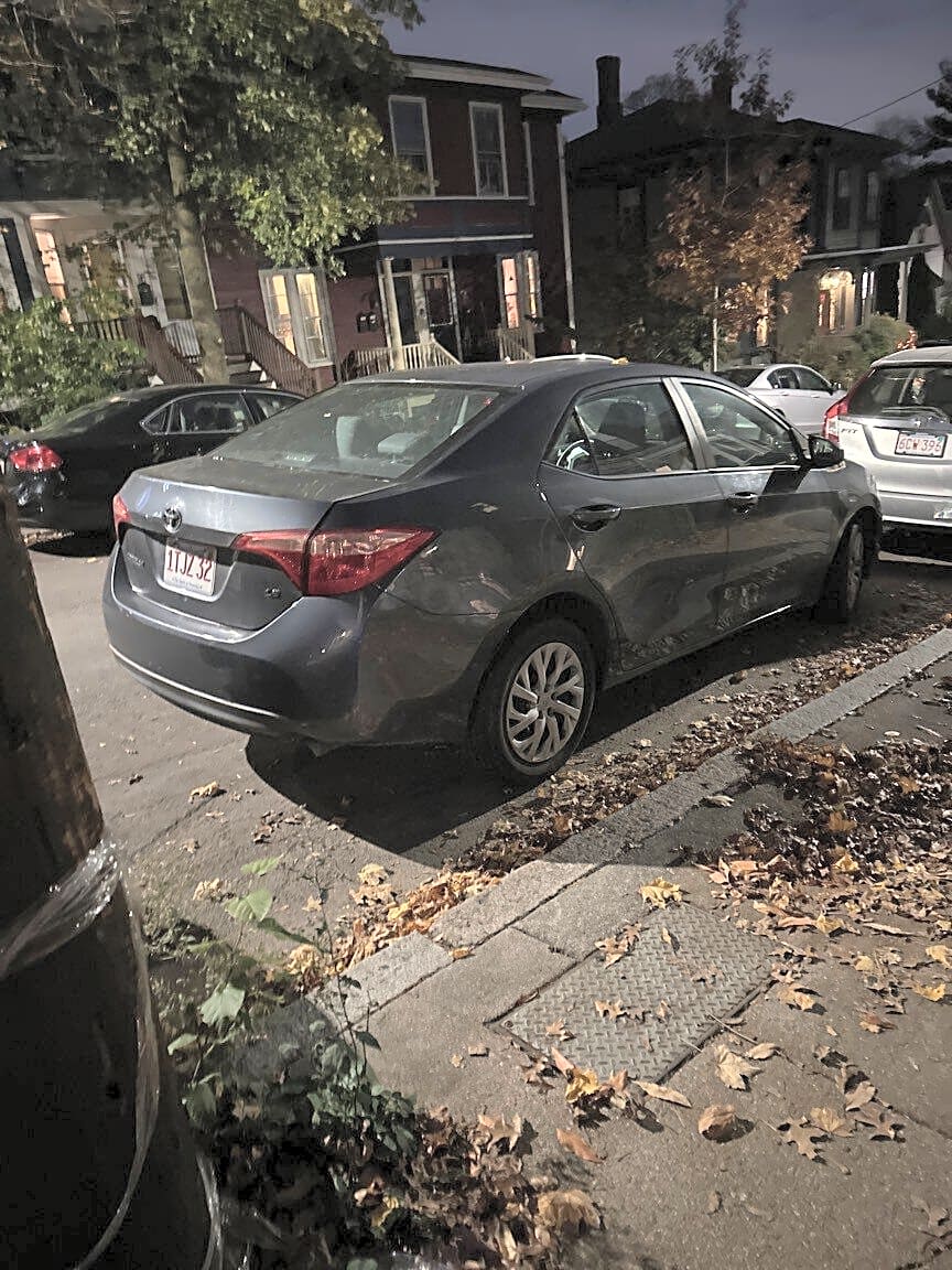 Image submitted with report