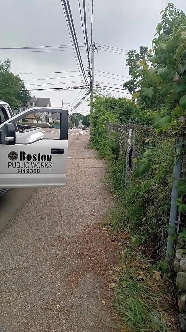 Image submitted with report