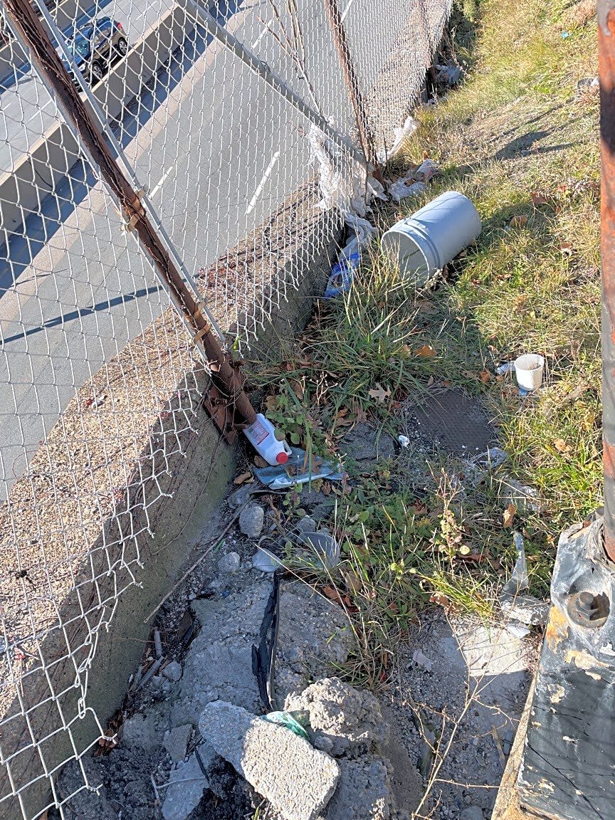 Image submitted with report