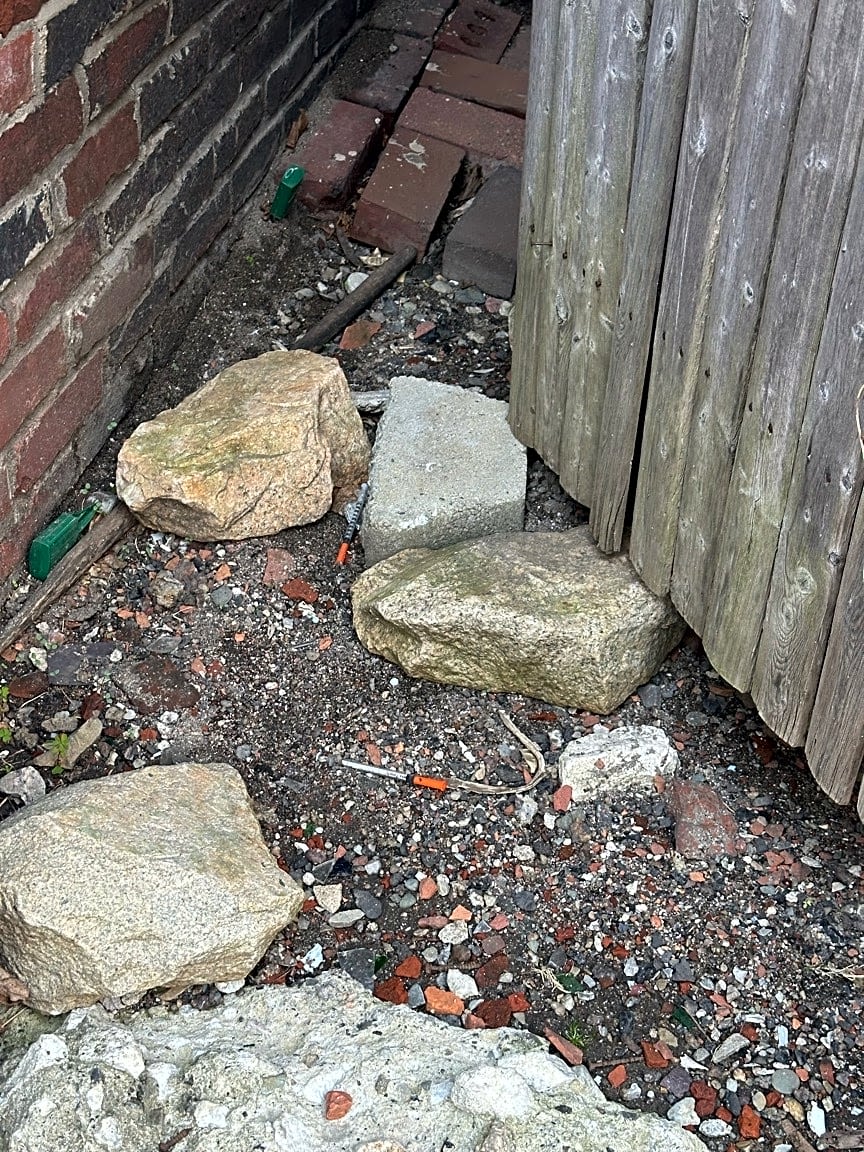 Image submitted with report