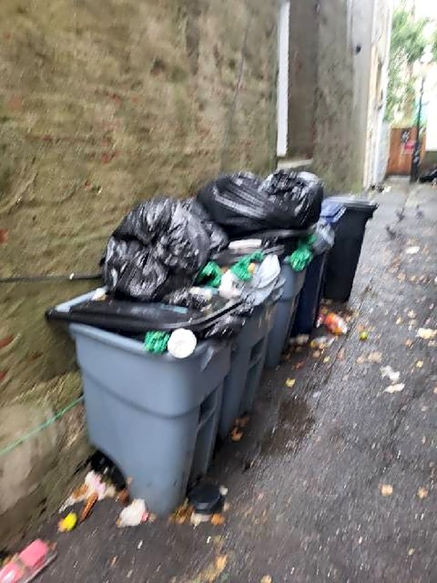 Image submitted with report