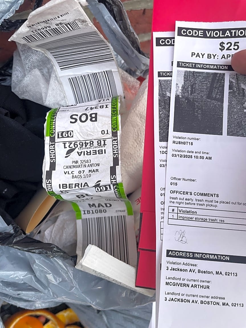 Image submitted with report