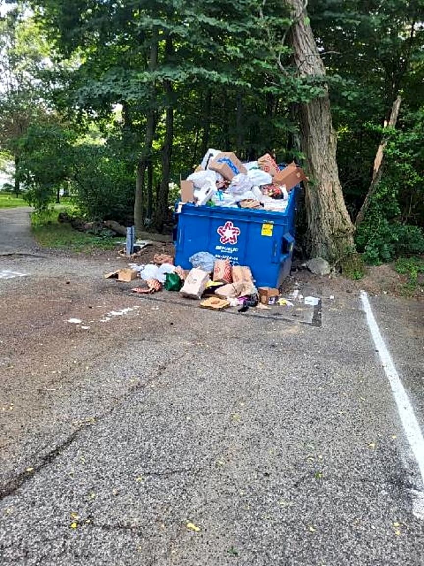 Image submitted with report