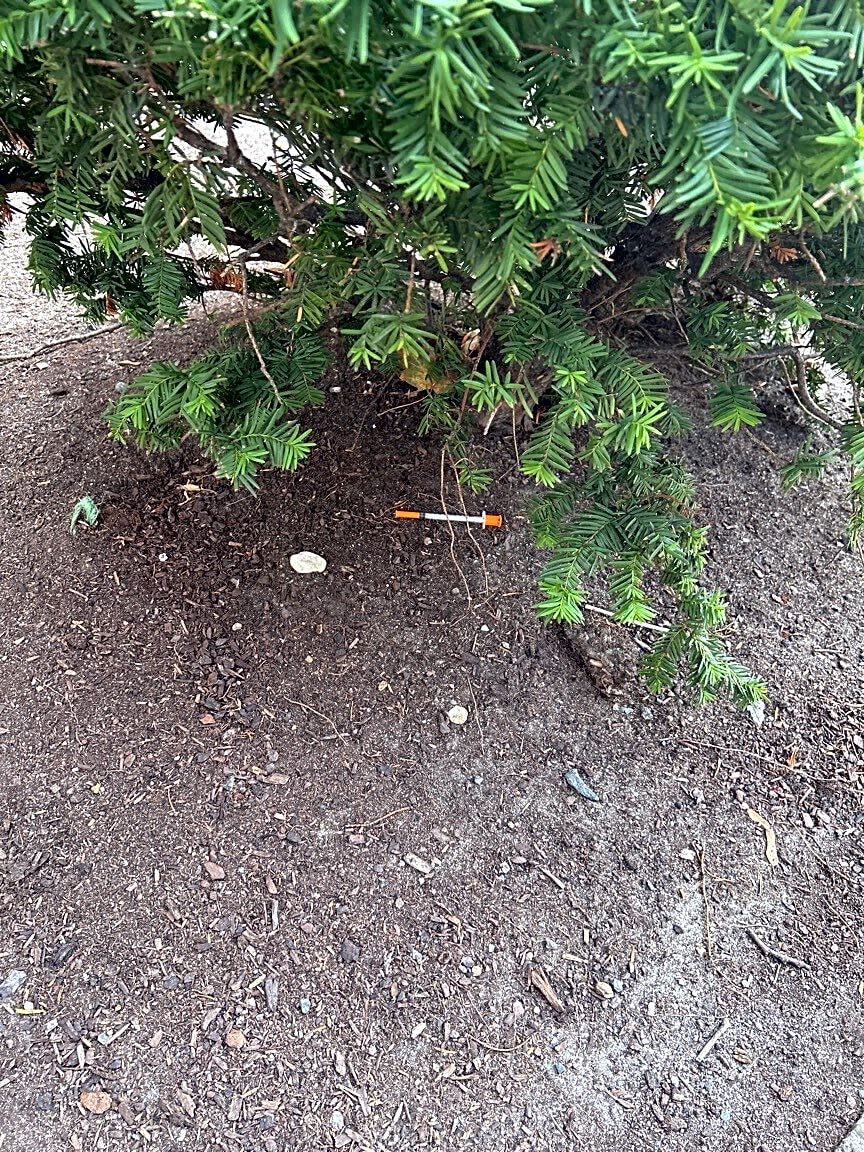 Image submitted with report
