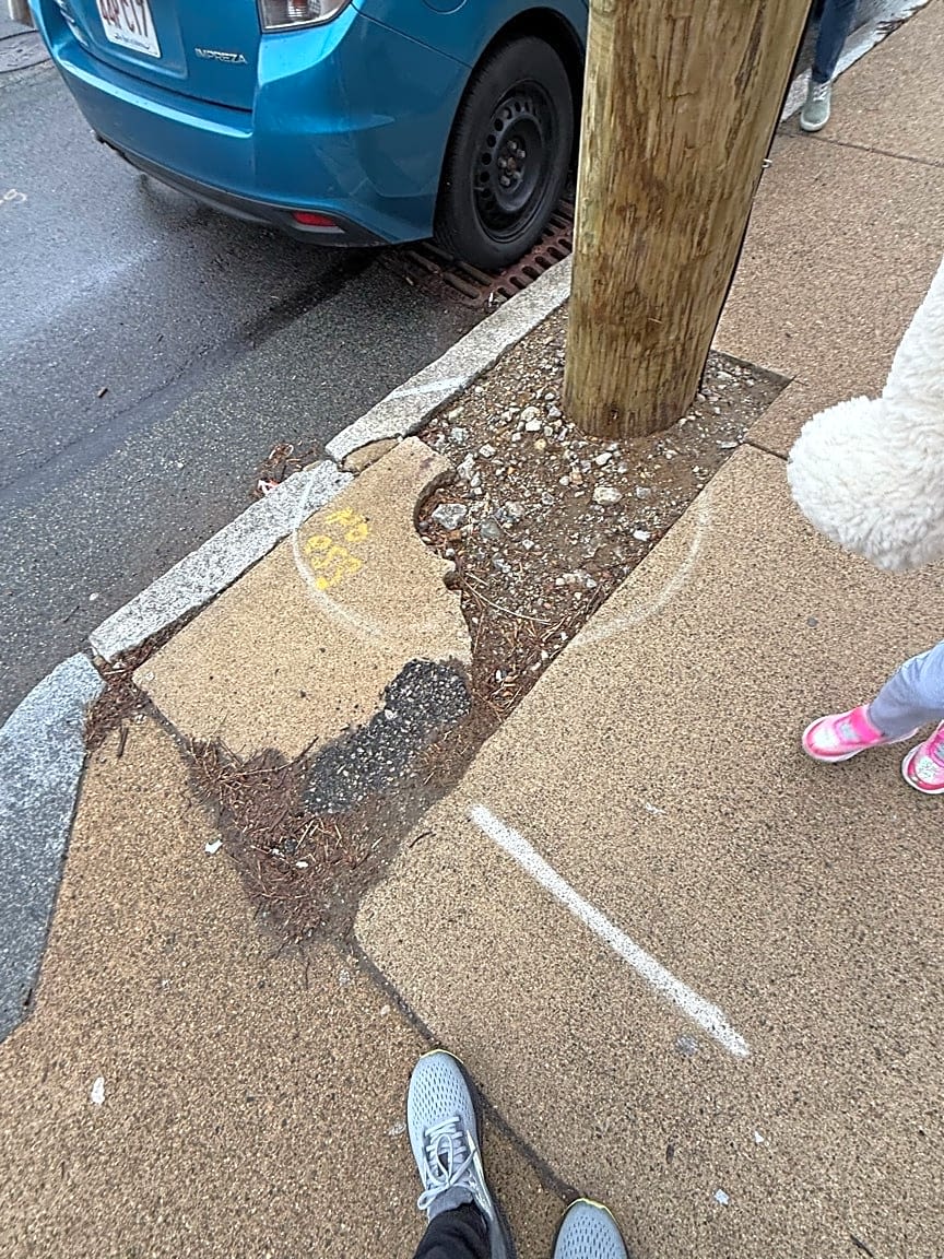 Image submitted with report