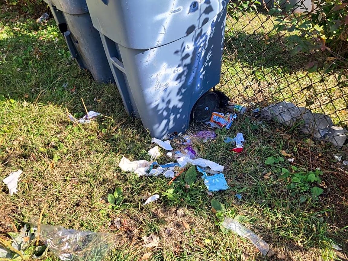 Image submitted with report
