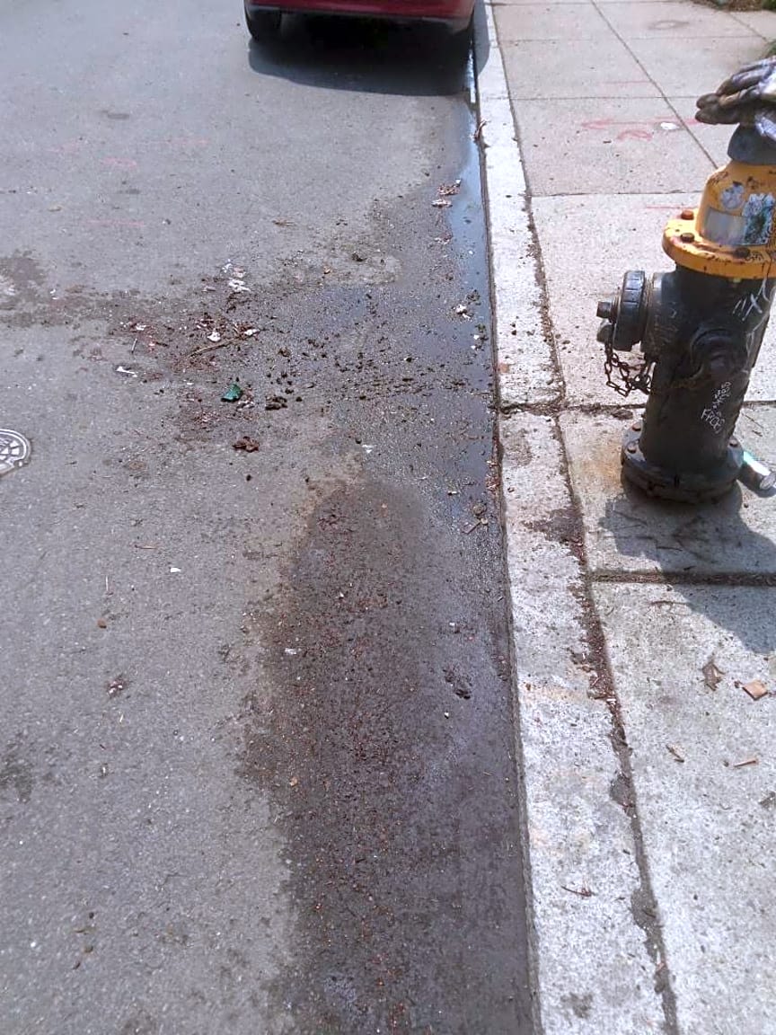 Image submitted with report