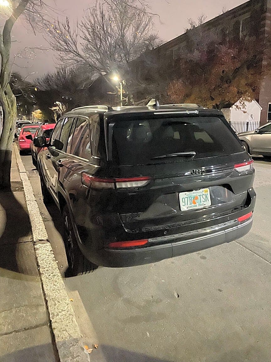 Image submitted with report