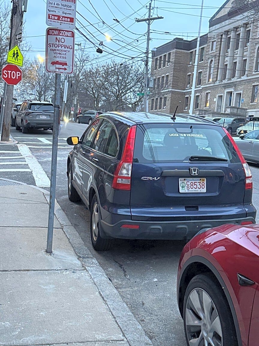 Image submitted with report