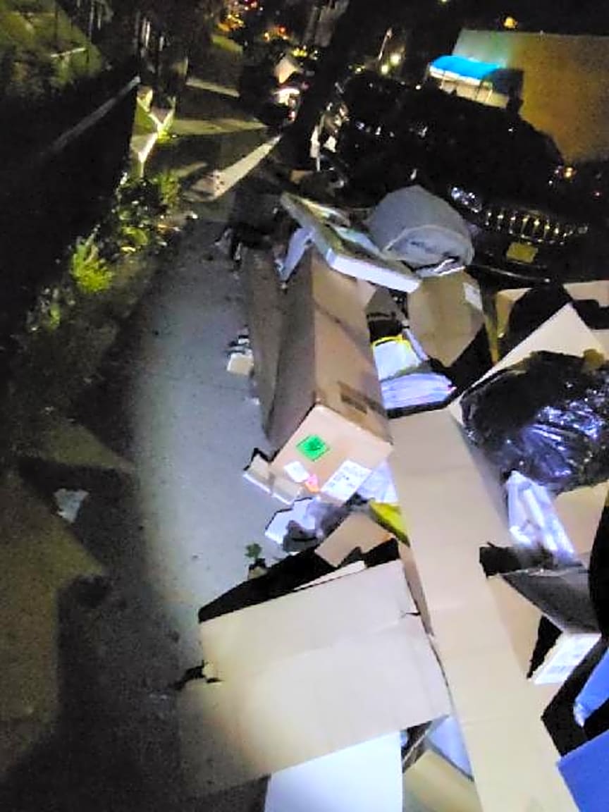 Image submitted with report