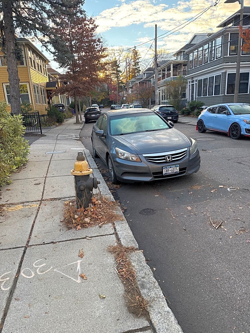 Image submitted with report