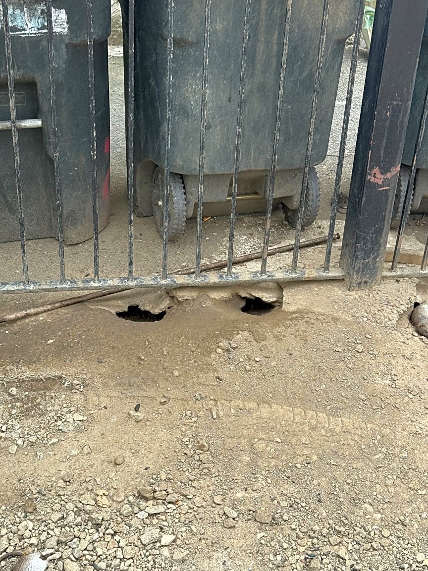 Image submitted with report