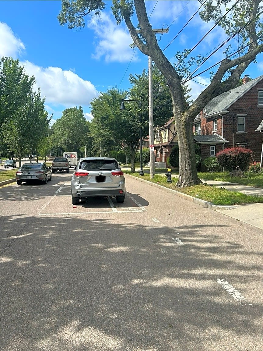 Image submitted with report