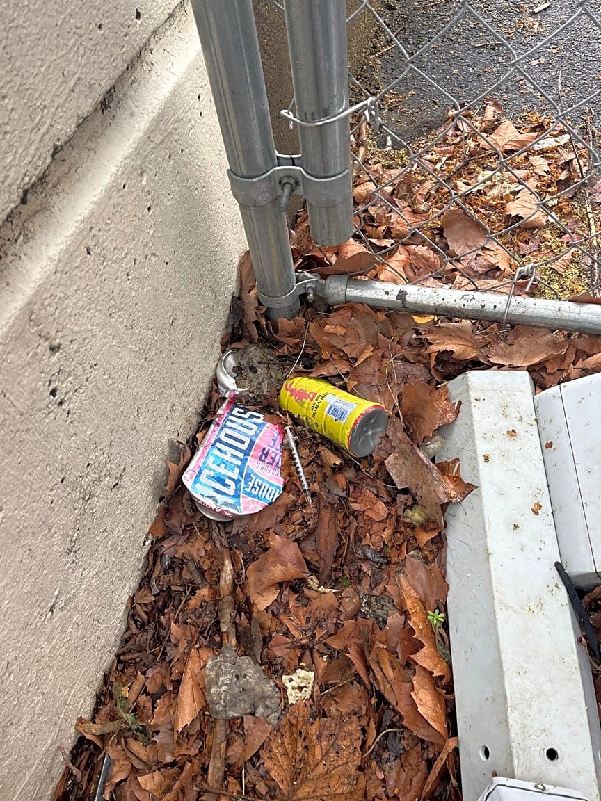 Image submitted with report