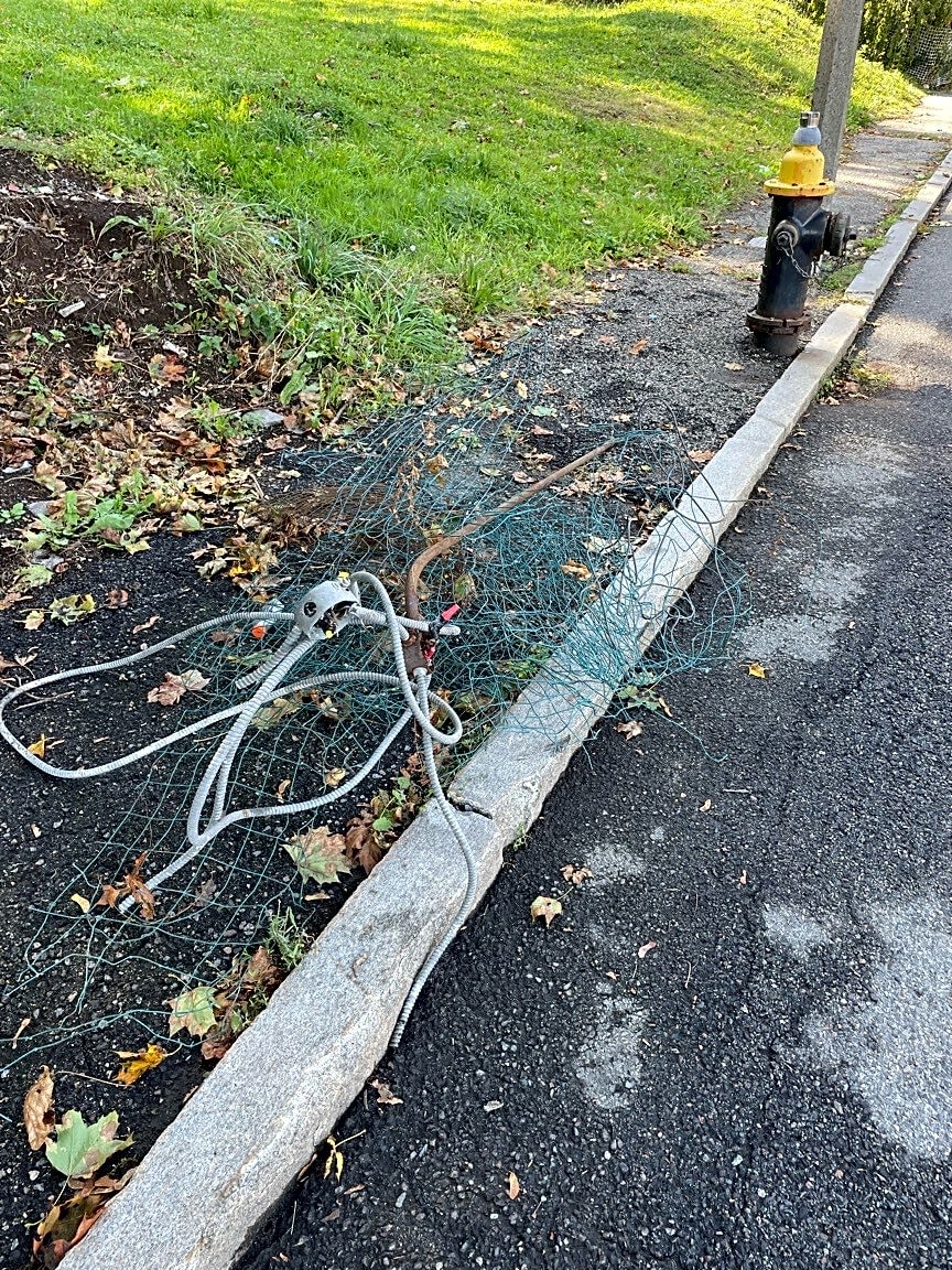 Image submitted with report