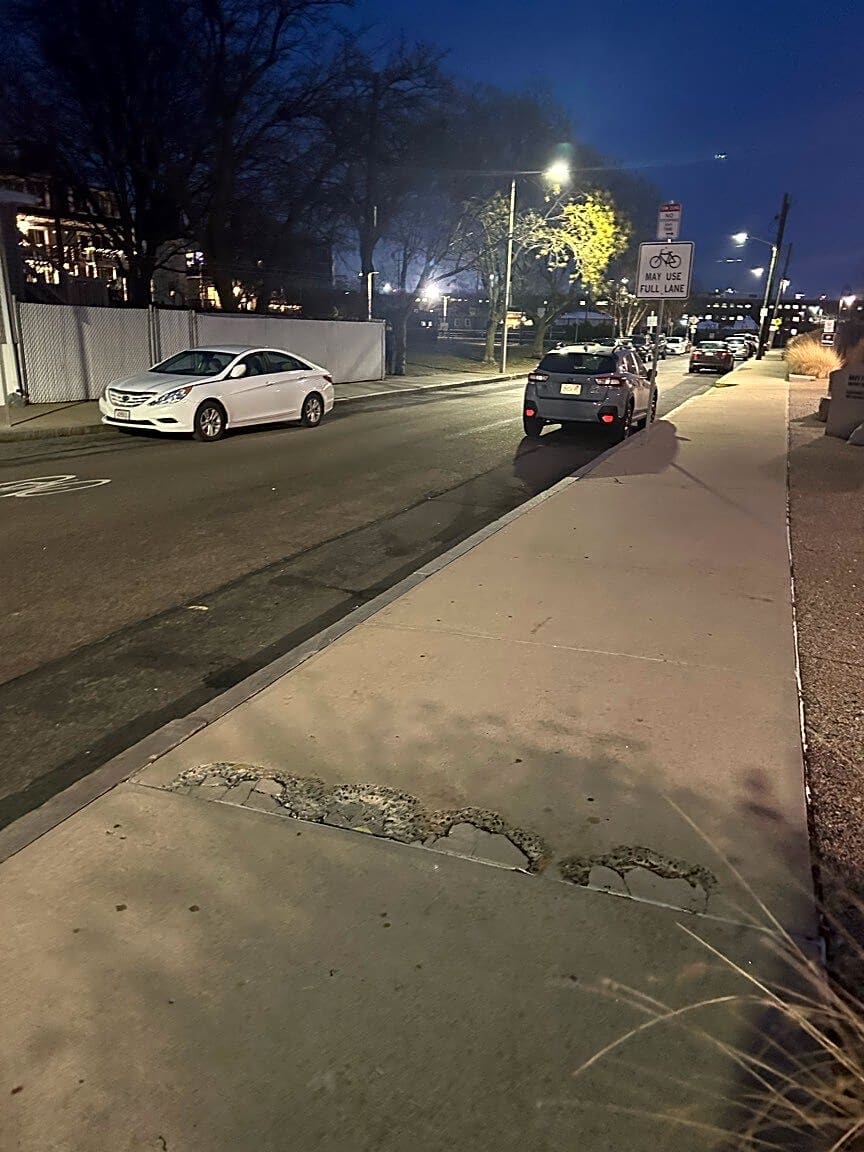 Image submitted with report