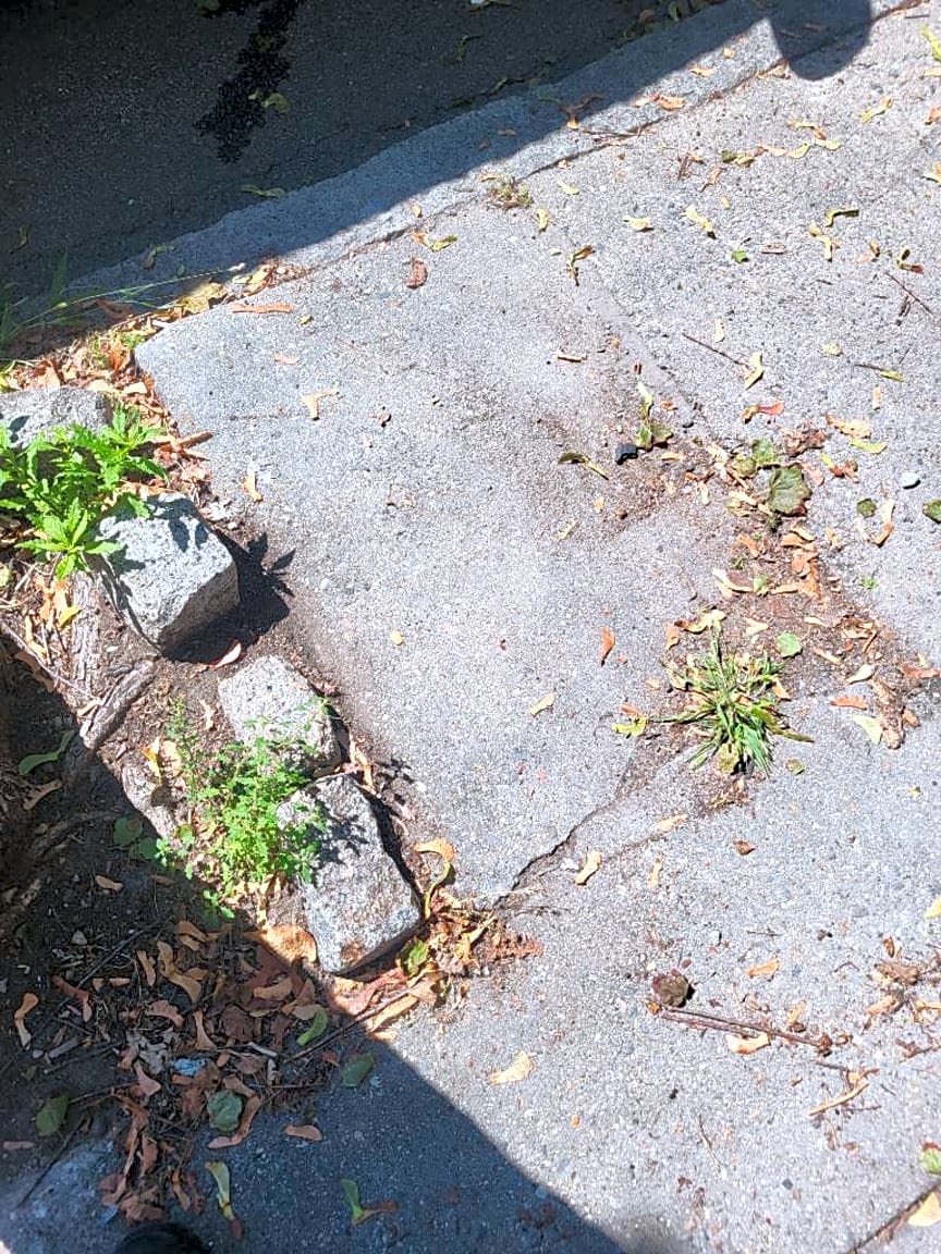 Image submitted with report