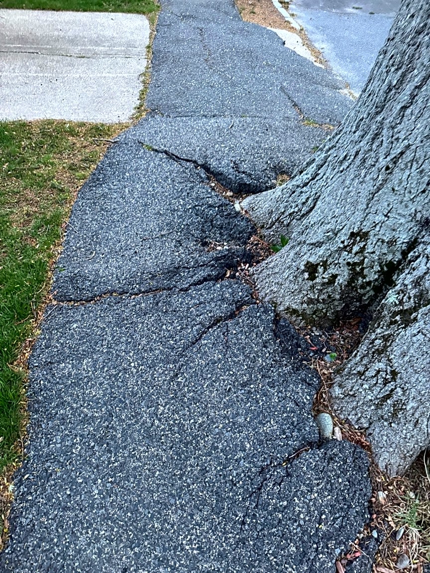 Image submitted with report