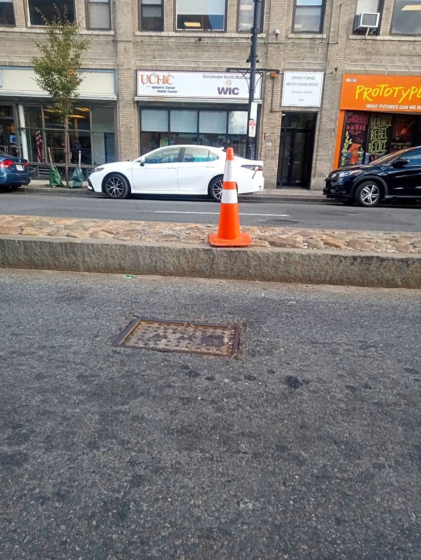 Image submitted with report