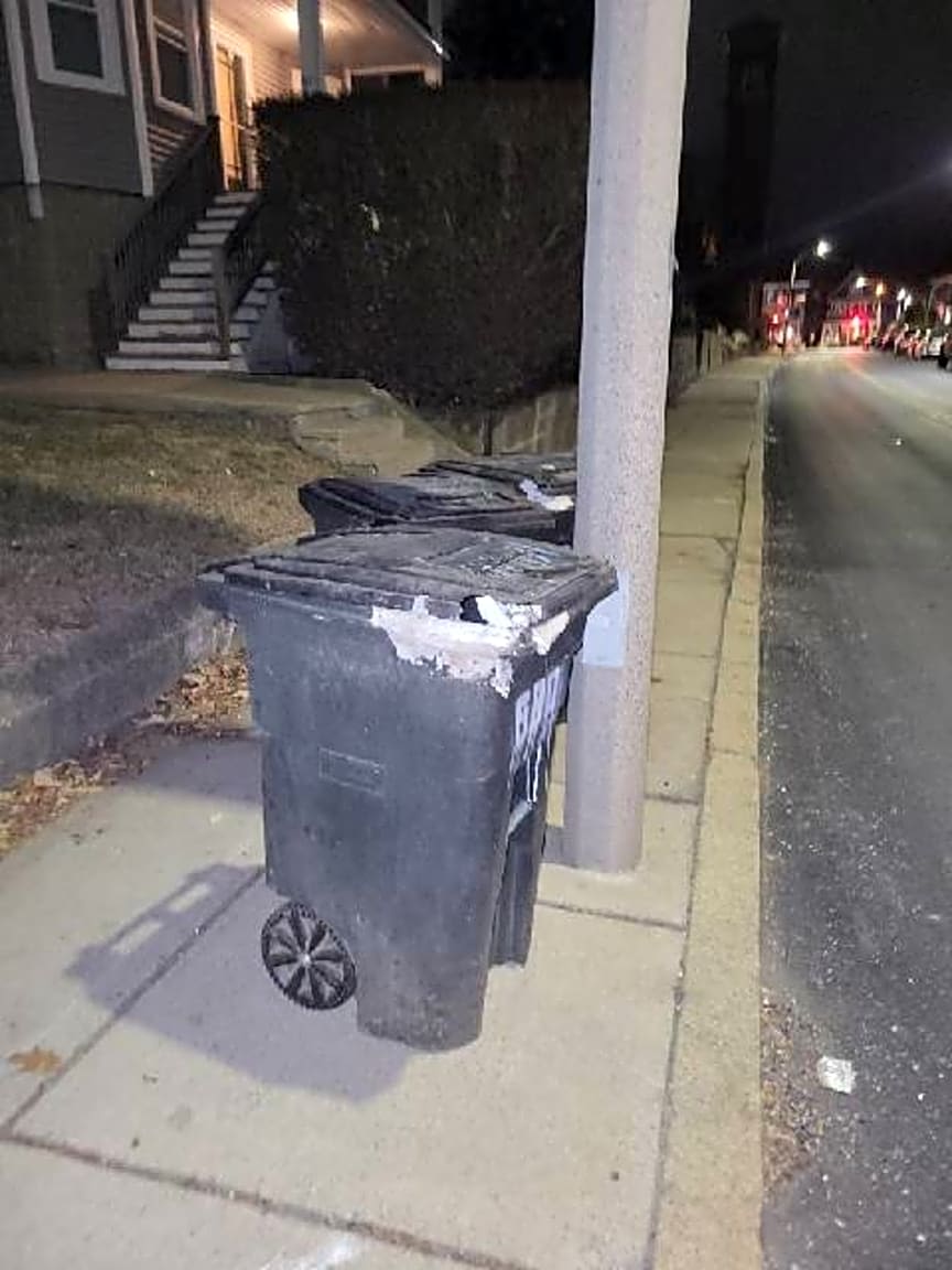 Image submitted with report