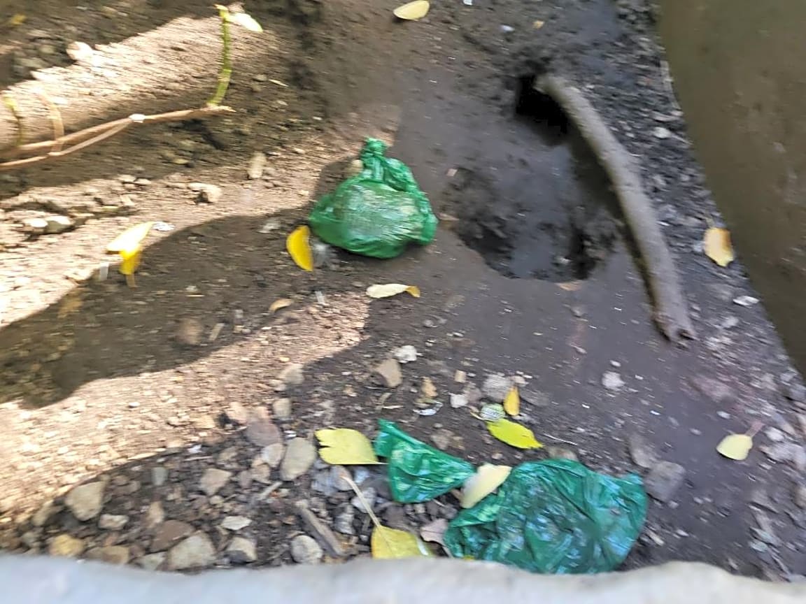 Image submitted with report