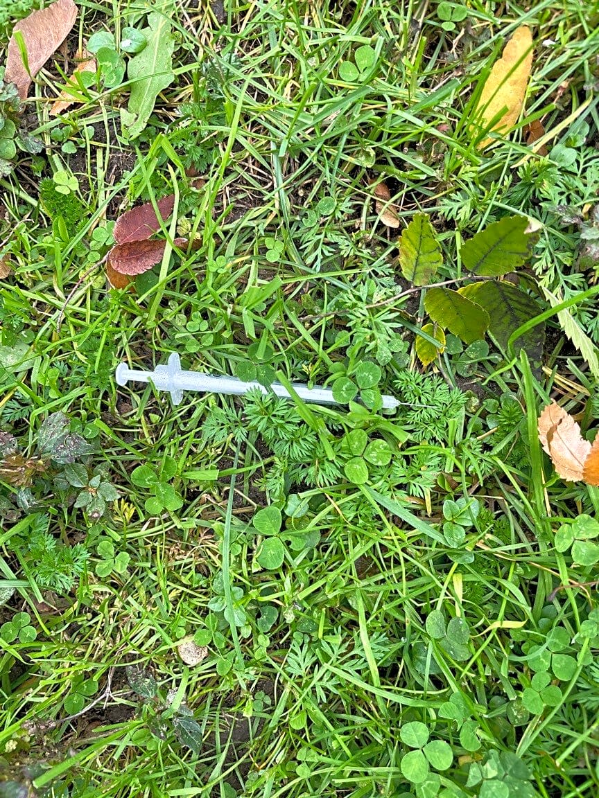 Image submitted with report