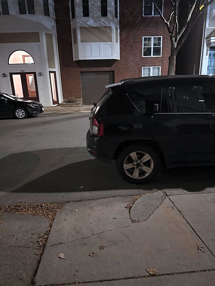 Image submitted with report