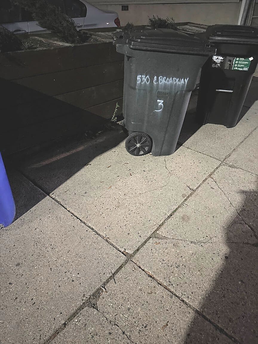 Image submitted with report