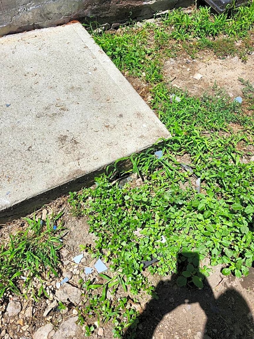 Image submitted with report