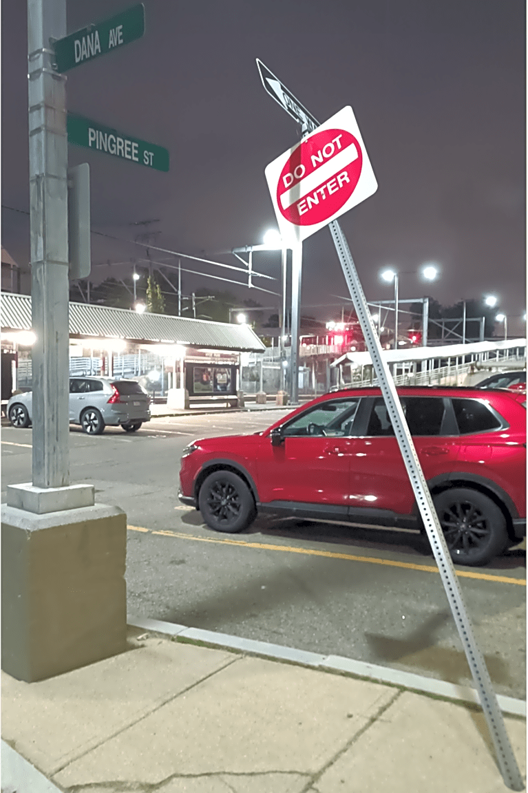 Image submitted with report