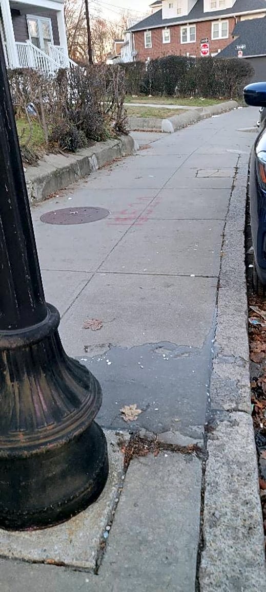 Image submitted with report