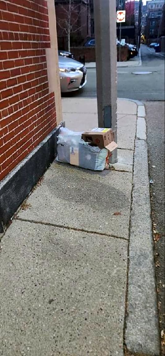 Image submitted with report