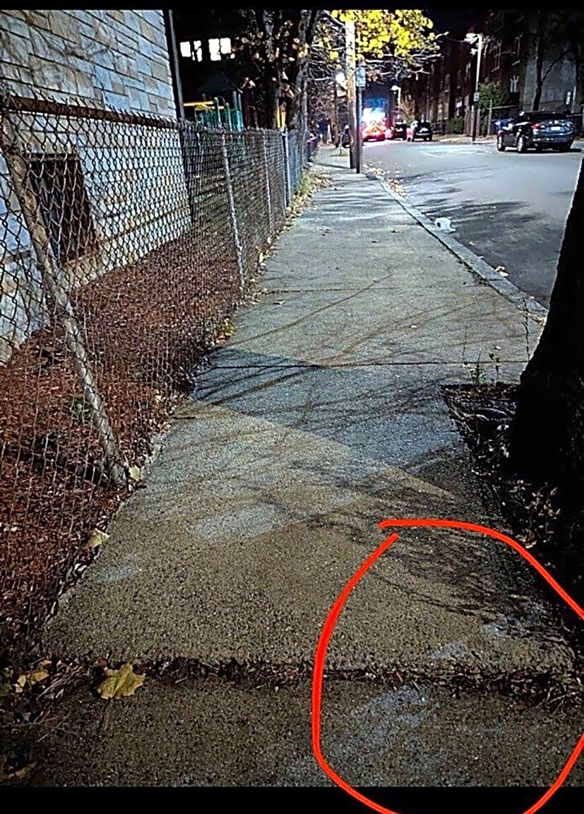 Image submitted with report