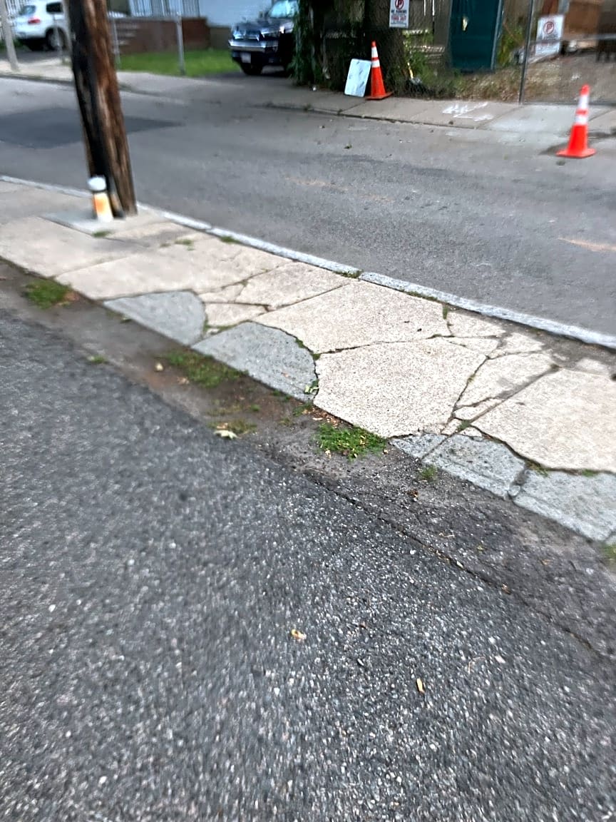 Image submitted with report