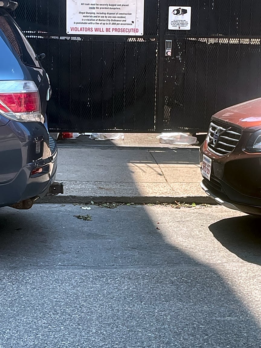 Image submitted with report