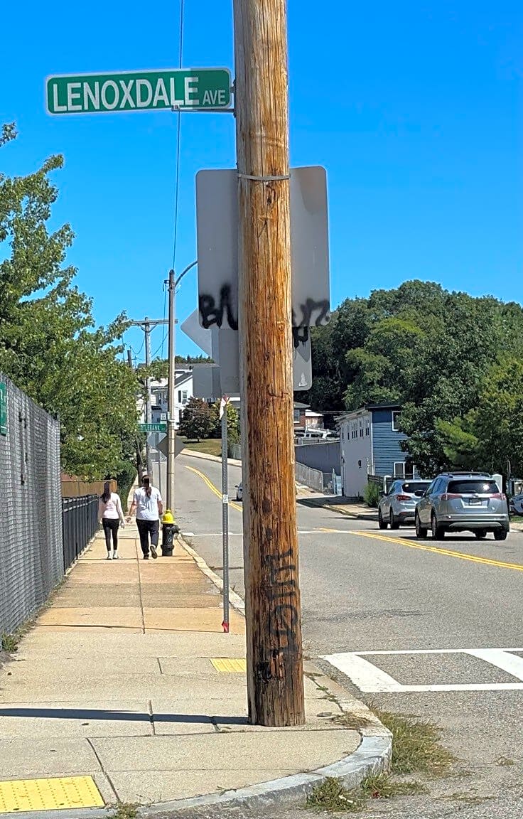 Image submitted with report