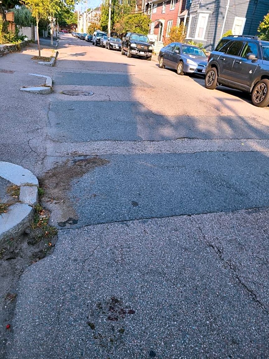 Image submitted with report