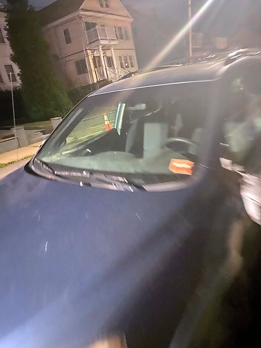Image submitted with report