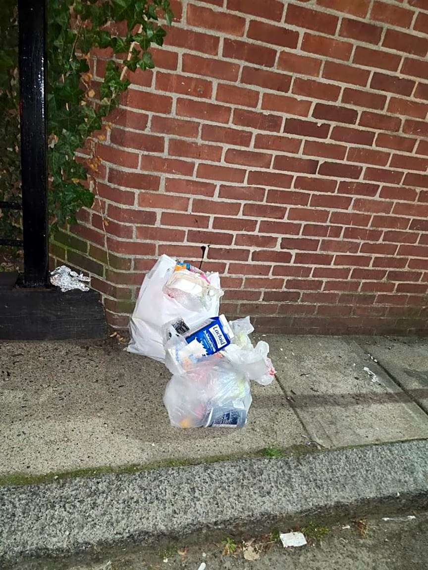 Image submitted with report