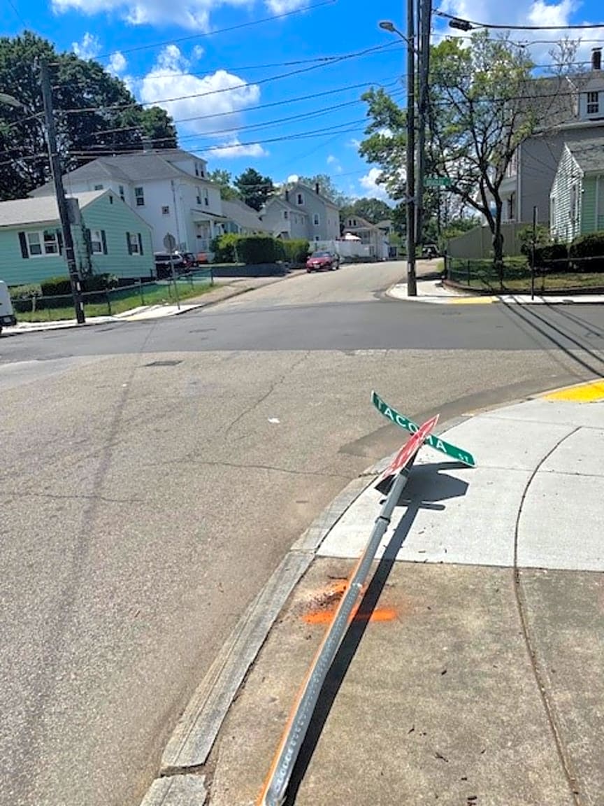 Image submitted with report