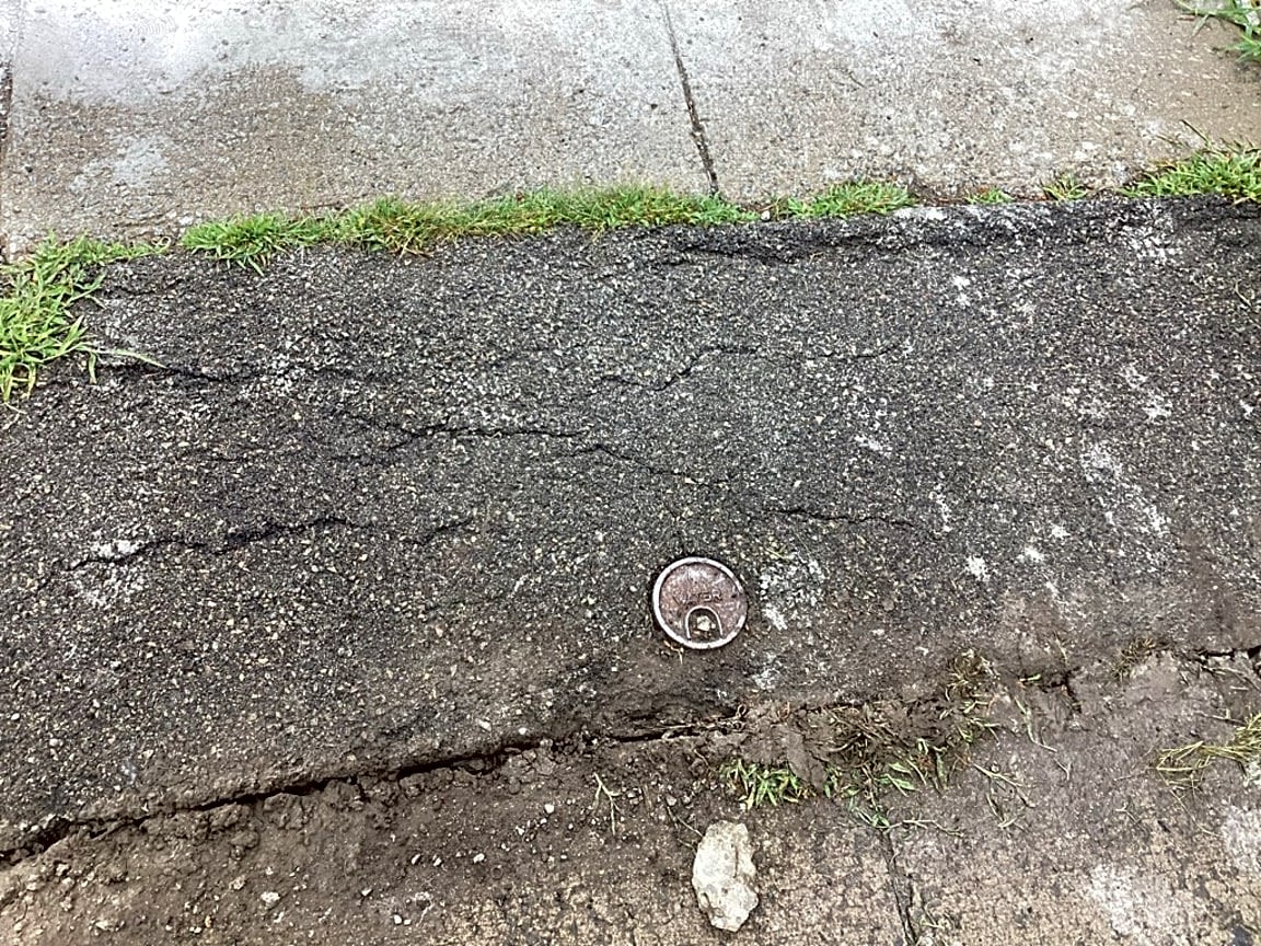 Image submitted with report