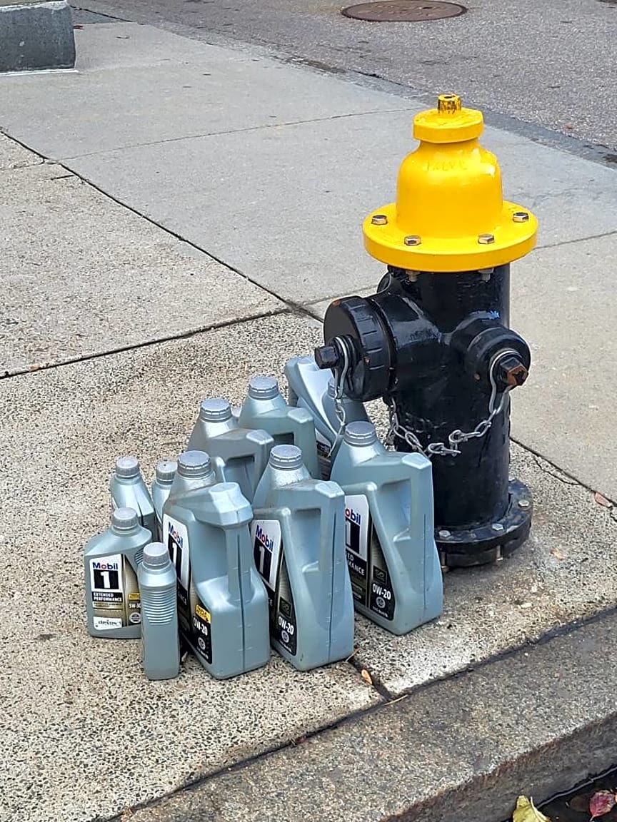 Image submitted with report