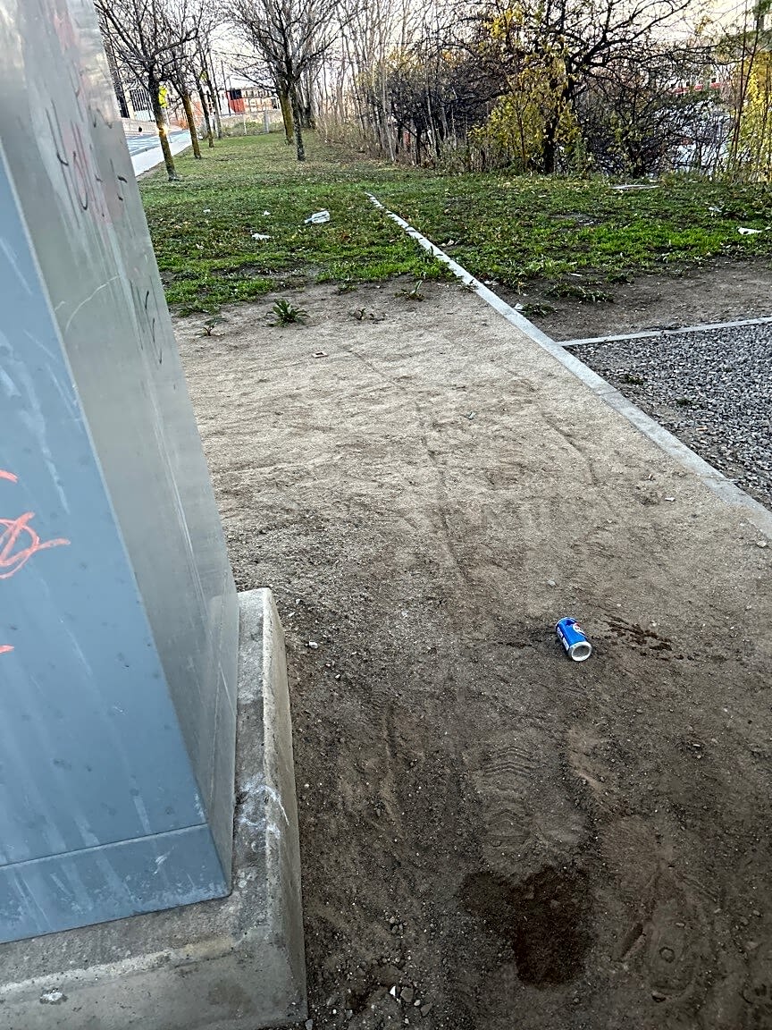 Image submitted with report