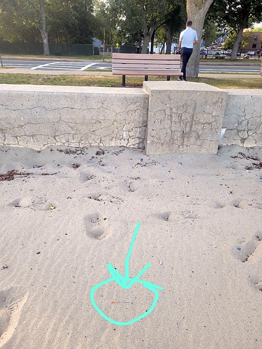 Image submitted with report