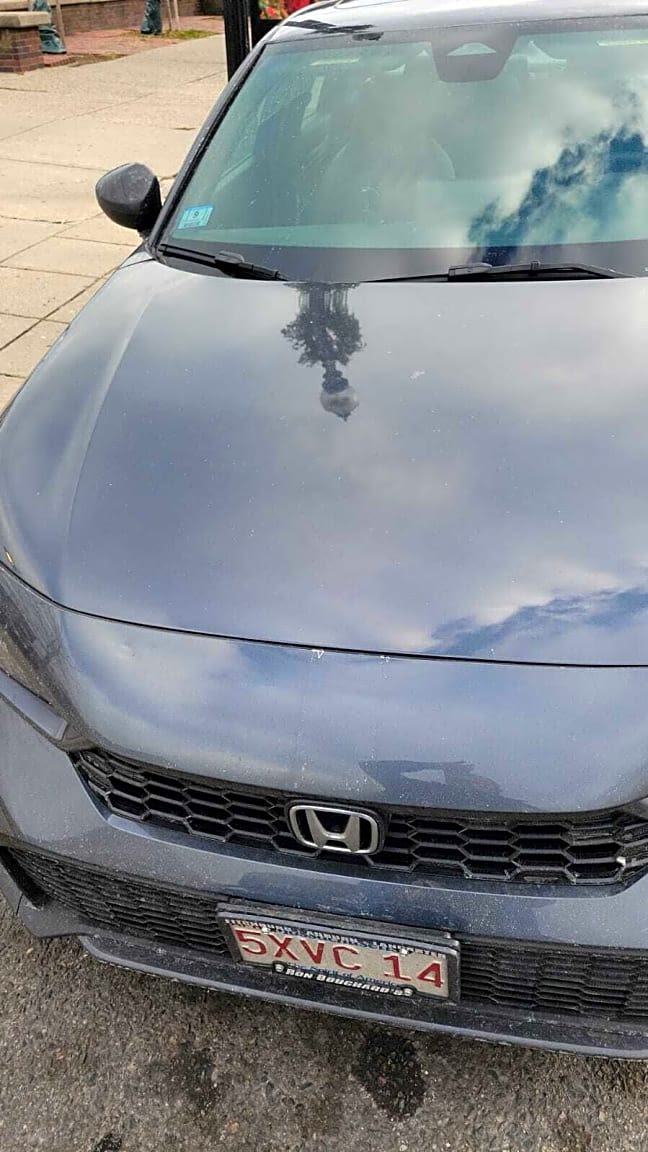 Image submitted with report