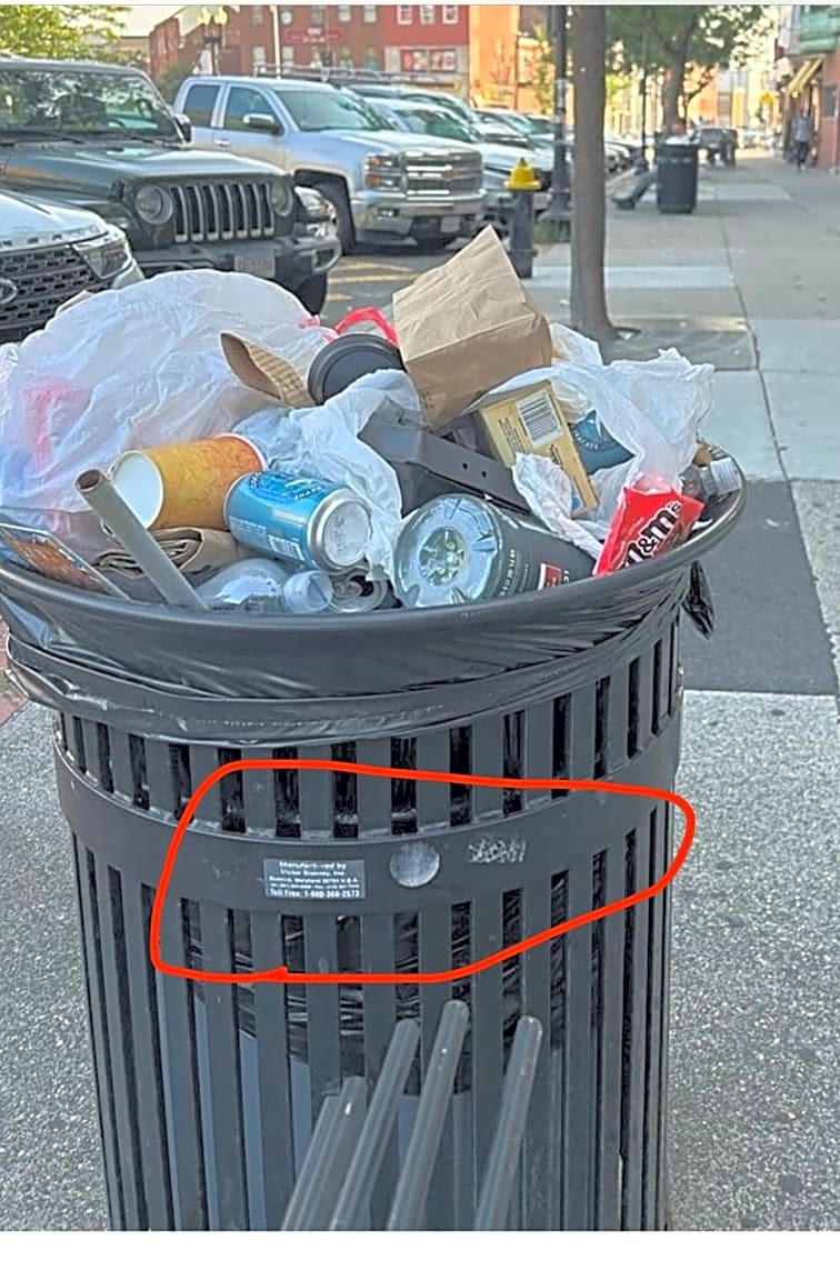Image submitted with report